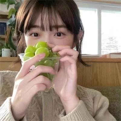 你好霸王龙